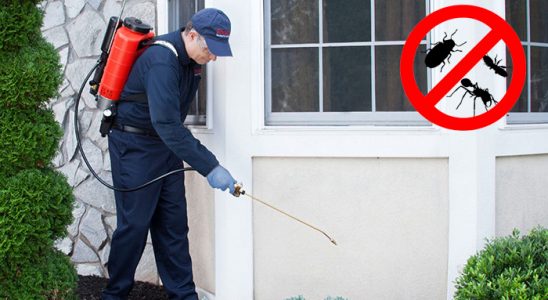 Bekilli Pire İlaçlama böcek ilaçlama ve haşere kontrolü — ilaclama-tr.com